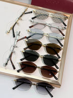 Gucci GG 8012 Cat eye frame Sunglasses &Glasses ✨