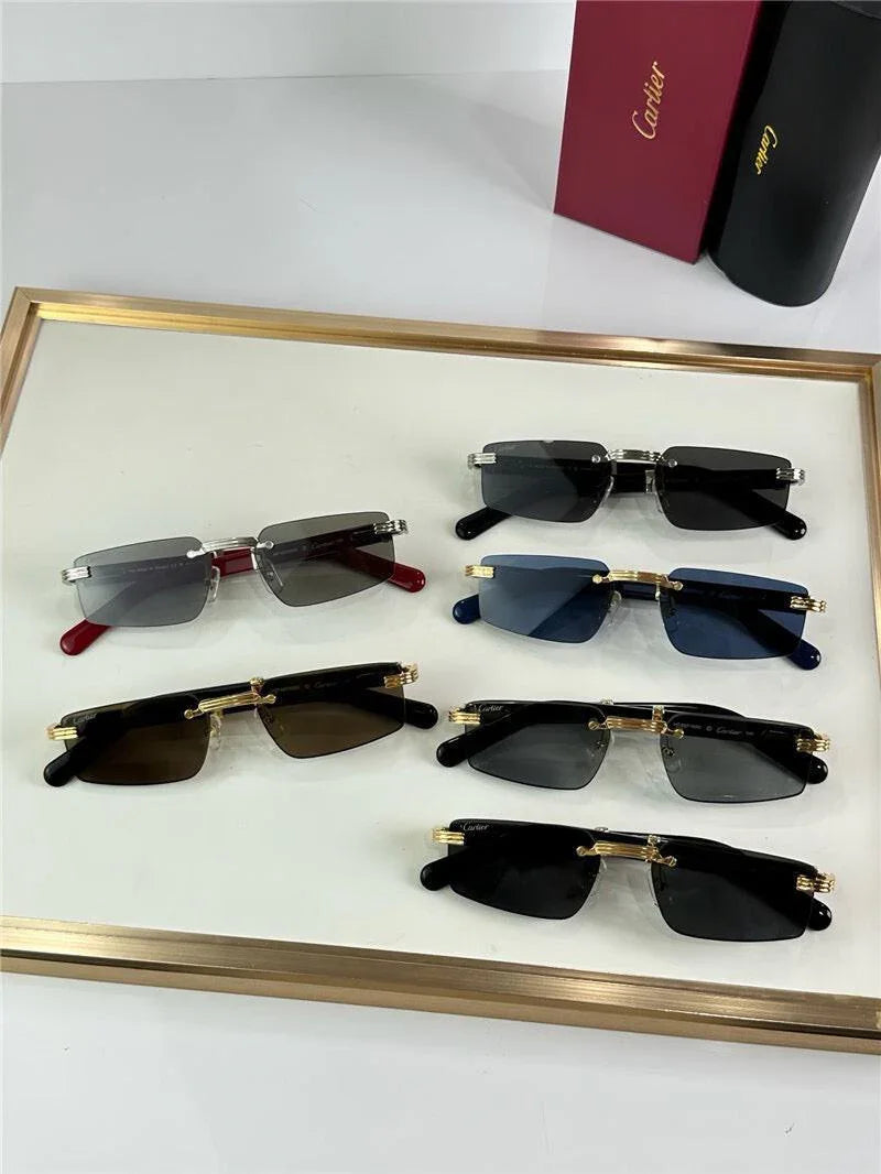 Cartier CT0485O Première de Cartier Rectangle Shape Sunglasses 🐆