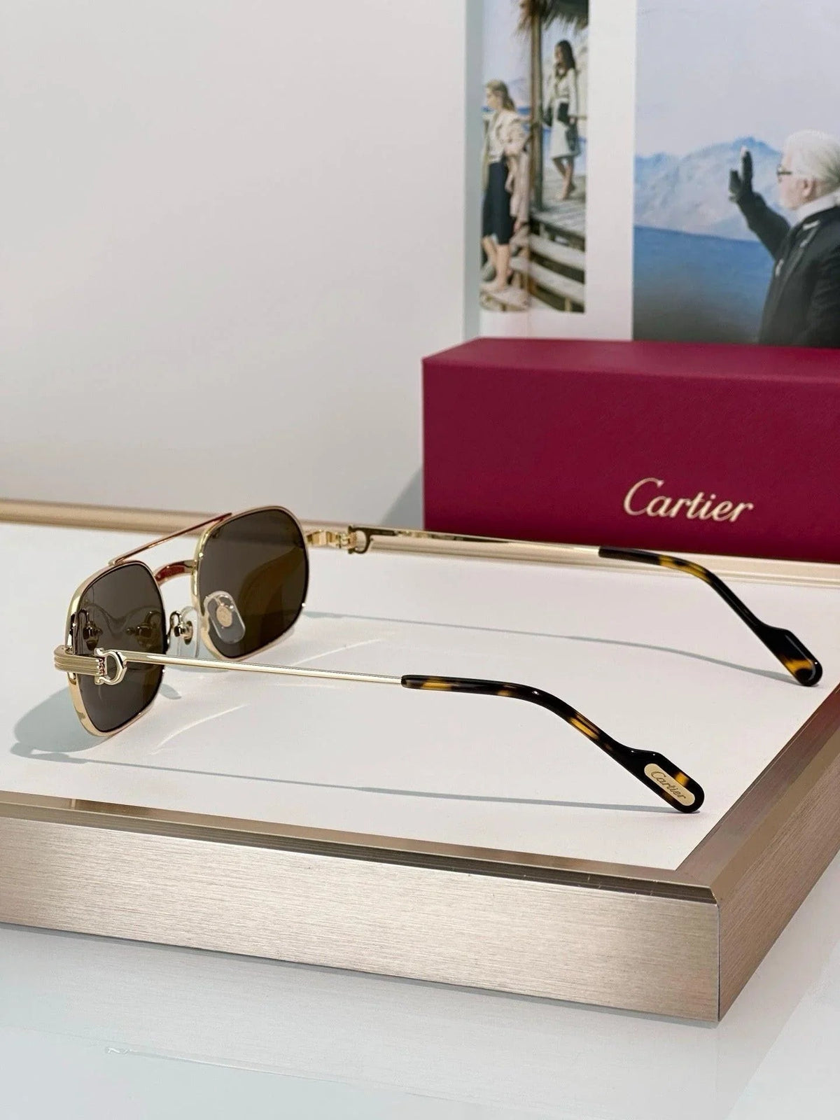 Cartier PREMIÈRE DE CARTIER Eyeglasses Exception CT0410O Sunglasses 🐆