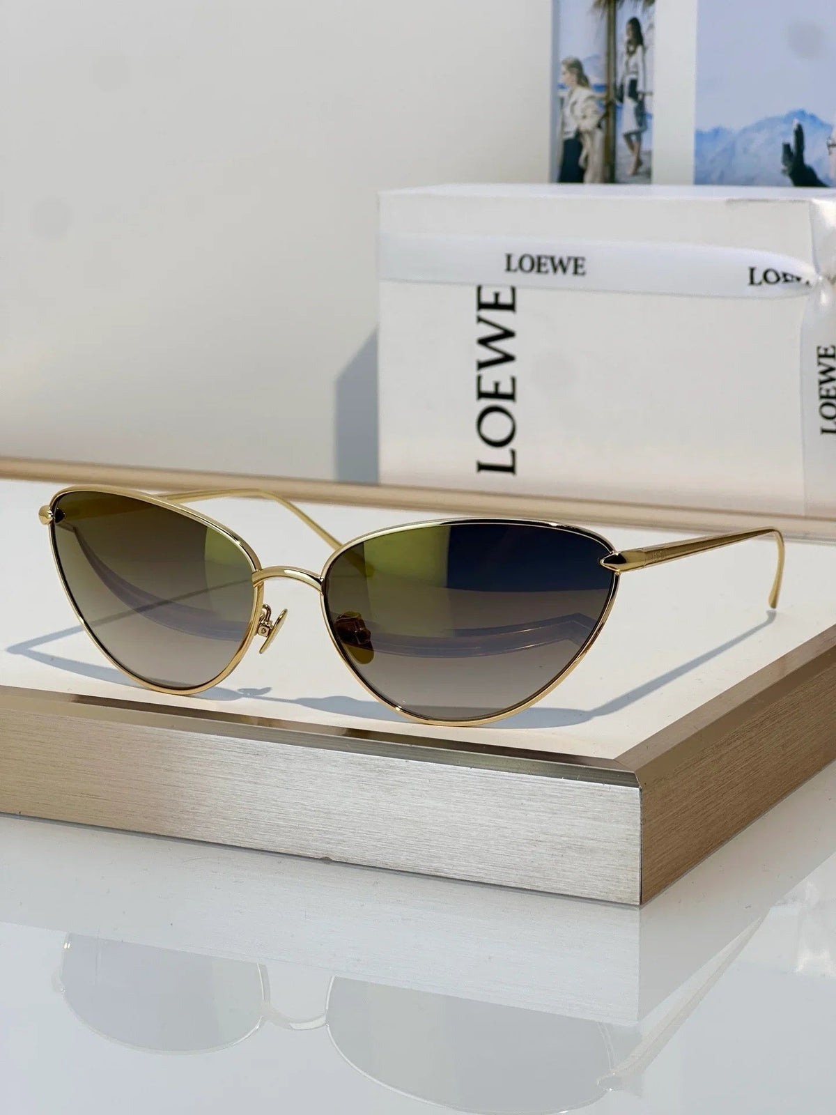 LOEWE  Signature LW 40164U 32E Sunglasses ✨
