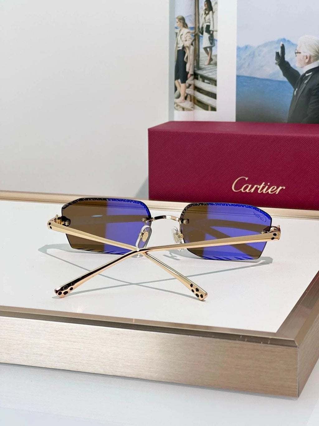Cartier CLASSIC C DE CARTIER MOTIF Panthere CT0815 Sunglasses 🐆