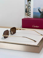 Cartier CLASSIC C DE CARTIER MOTIF Panthere CT0815 Sunglasses 🐆