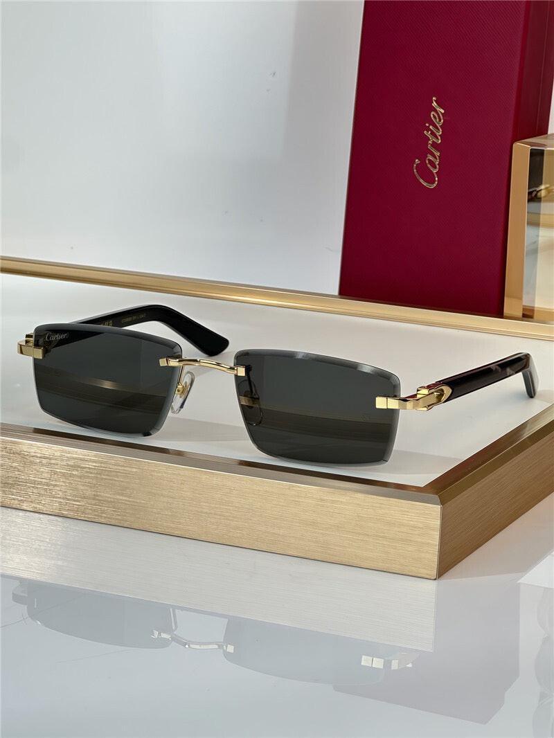 Cartier PREMIÈRE DE CARTIER Allonge CT0582S 005 Sunglasses 🐆