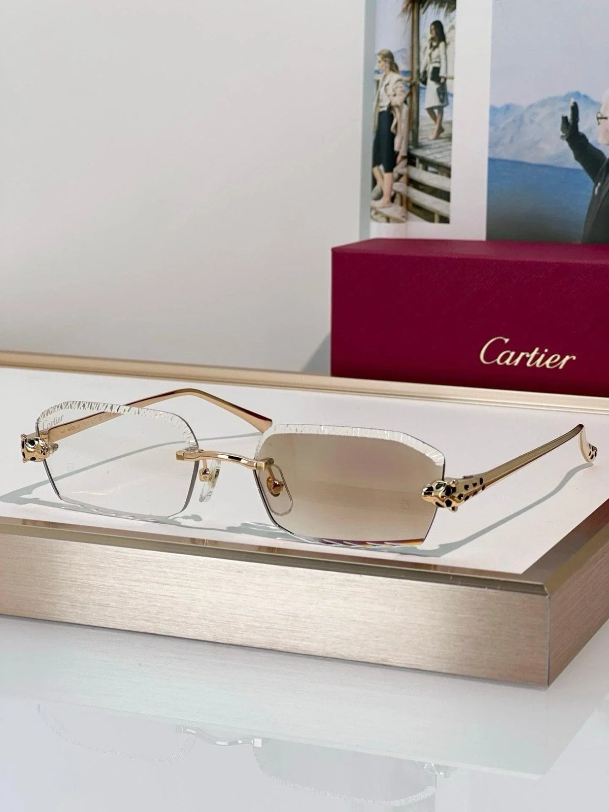 Cartier CLASSIC C DE CARTIER MOTIF Panthere CT0815 Sunglasses 🐆