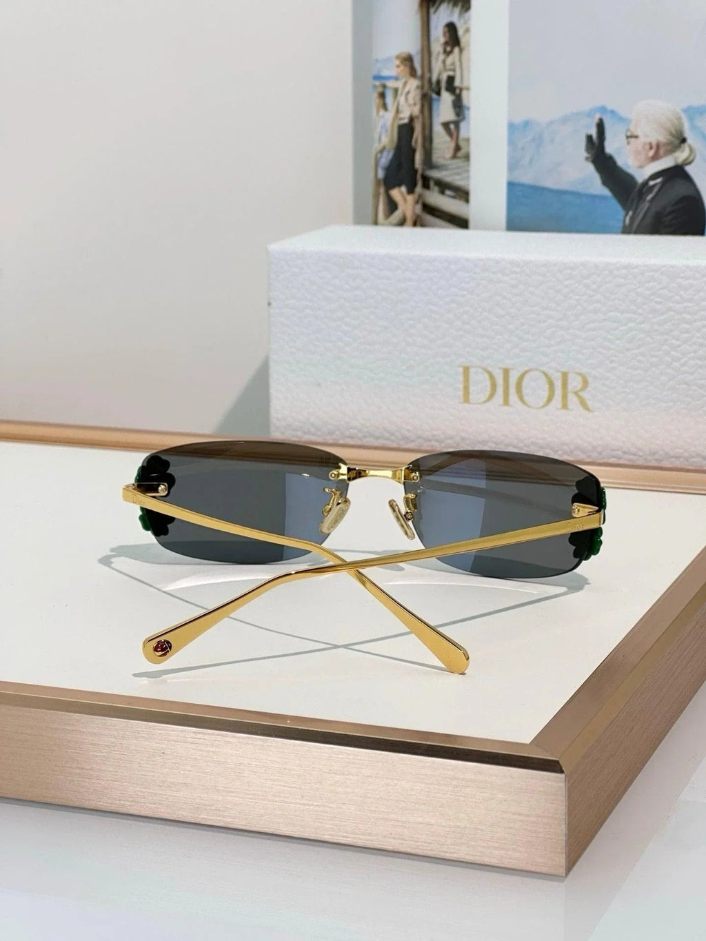 DIOR Dior Clover S1U Gray Rectangular Sunglasses✨