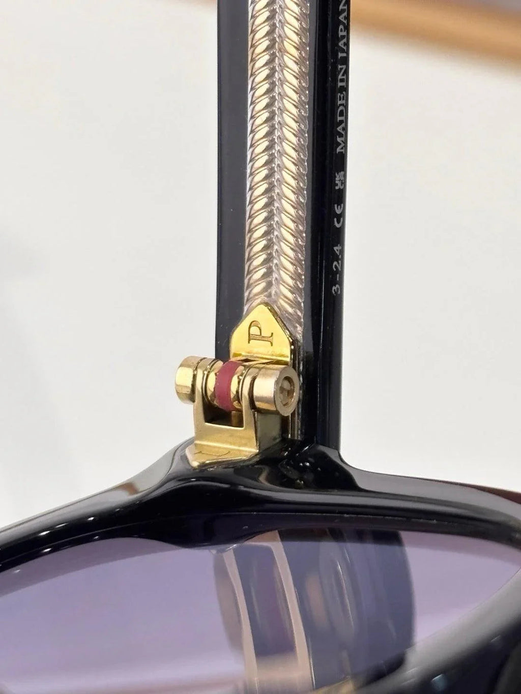 Loro Piana Roadster Acetate Unisex Sunglasses 🍂