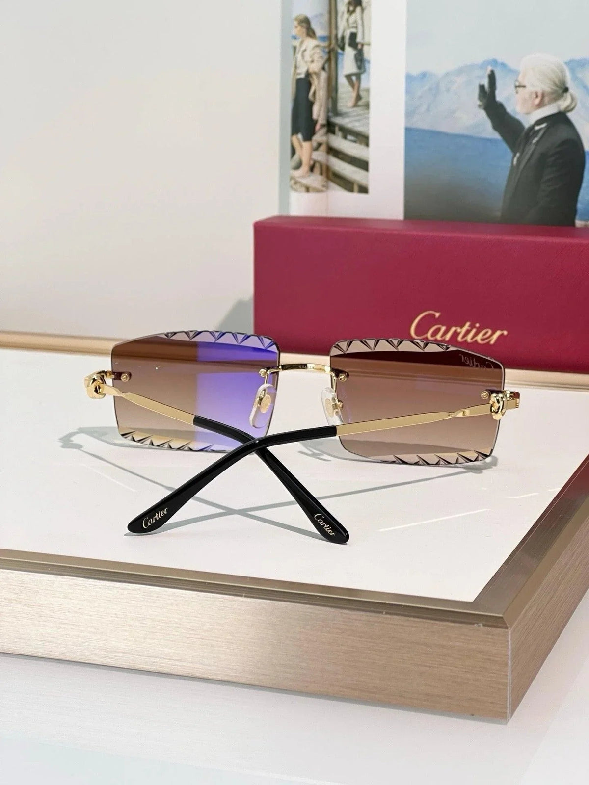 Cartier CLASSIC C DE CARTIER MOTIF CT0916 Sunglasses 🐆