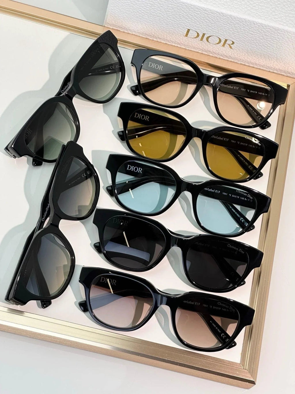 DIOR Christian Dior Label R1F Black and Beige Pantos Sunglasses  ✨