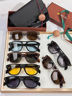Loro Piana Roadster Acetate Unisex Sunglasses 🍂