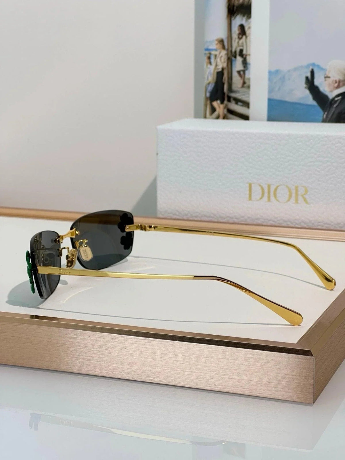 DIOR Dior Clover S1U Gray Rectangular Sunglasses✨