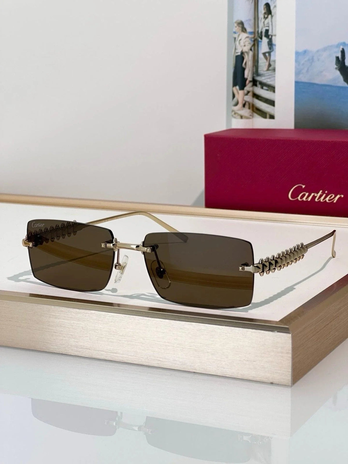Cartier Exception  Motif CT0604S 004 Sunglasses 🐆
