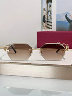 Cartier CLASSIC C DE CARTIER MOTIF Panthere CT0828 S Sunglasses 🐆